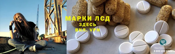 СК Алексин