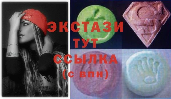 СК Алексин