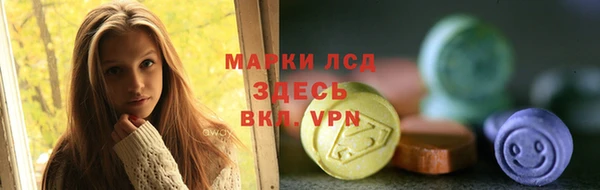 крисы Алзамай