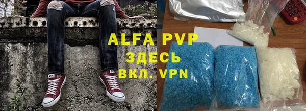 СК Алексин
