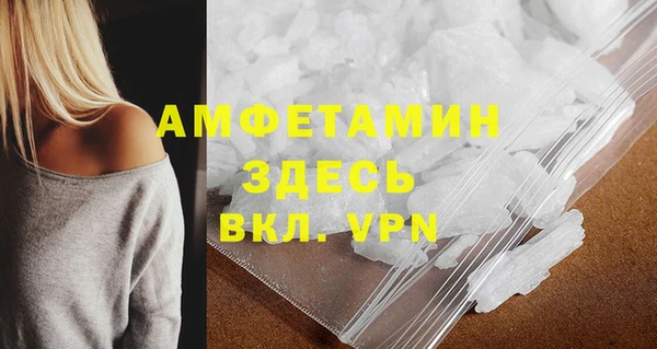 СК Алексин