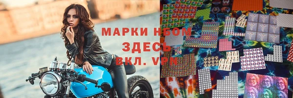 СК Алексин